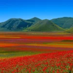 Castelluccio di Norcia