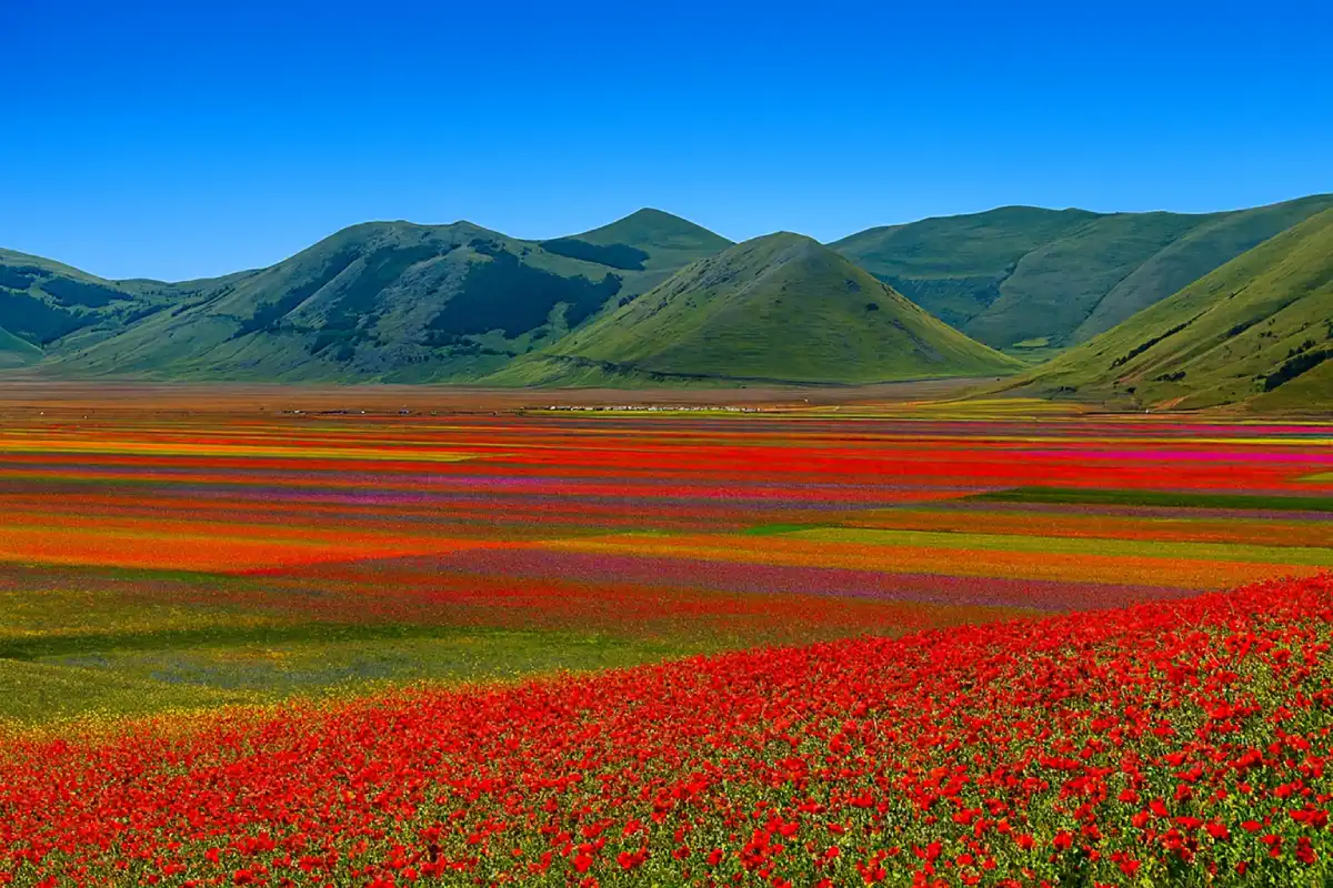 Castelluccio di Norcia